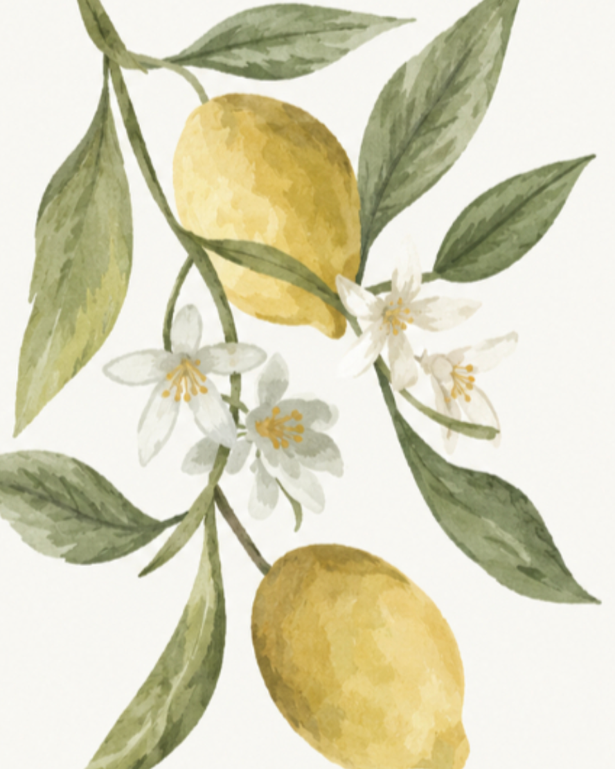 Watercolour lemons, leaves and blossom
